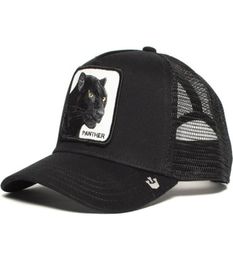 High Quality Fashion Animal Anime Cotton Baseball Cap Men039s Women039s Mesh Trucker Cap A5612348507