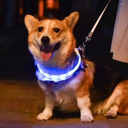 Dog Collars Pet Collar Led Usb Night Luminous Charge Flashing Glow Loss Prevention Silicone Accessories