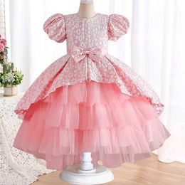 Girl's Dresses 3-10 Year Old Pink Girl Dress Fluffy Wedding Dress Fashion Trail Tulle Party Evening Dress Summer Elegant Girl Dress Y240514