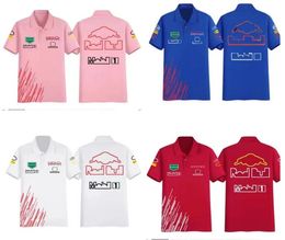 2024 Neues F1 Racing Polo Shirt Summer Short Sleeve Shirt gleich angepasst