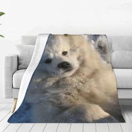 Blankets Samoyed Dog Plaid Blanket Sofa Cover Fleece Printed Cartoon Pet Multifunction Lightweight Throw For Bed Couch Rug Piece
