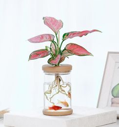 Transparent Hydroponic vase Imitation Glass Soilless Planting Potted Green Plant Resin Flower Pot Home Vase Decor6615932
