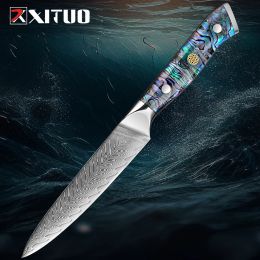 5 Inch Paring Knife VG10 Damascus Steel Utility Knife Sharp Fruit Knife for Cutting Fruit and Vegetables Kitchen Peeling Knife
