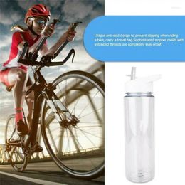 Water Bottles 750ml Sports Bottle Transparent Straw Cup With Handle Leak-proof Outdoor Hiking Portable Plastic BPA Free