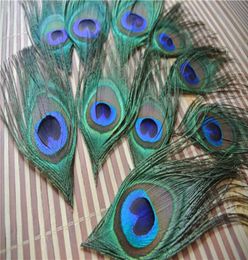 Whole 200Pcs Trimed peacock eye feather peacock feather for crafts costumes decor6135998