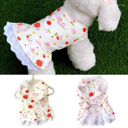 Dog Apparel Plaid Dress Pet Clothes Fashion Clothing Dogs Super Small Cute Chihuahua Print Cotton Summer Black White Girl Mascotas