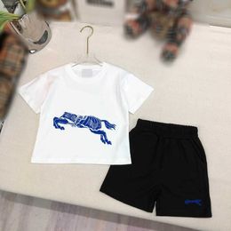 Brand baby tracksuits Multiple styles boys summer suit kids designer clothes Size 90-150 CM Knight print Short sleeved T-shirts and shorts 24May
