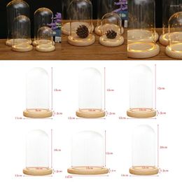 Vases Glass Display Dome Wood Base LED Decorative Miniature Landscape Ornament