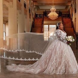 Gorgeous Ball Wedding Dresses V-neck Long Sleeves Lace Appliques on Tulle Zipper Chapel Gown Custom Made Robe Despecisl