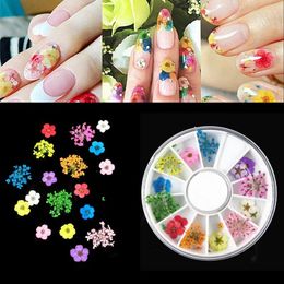 Window Stickers 18pcs/Wheel 3D Dried Flower Nail Art Decoration Blossom Daisy Floral Leaf Slider Polish Sticker Summer Manicure Tools