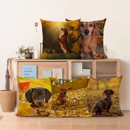 Pillow Dachshund Dog Cover For Living Room Sofa Puggy Decorative Pillows Bedroom Housse De Coussin Home Decor