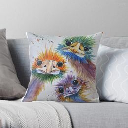 Pillow Funky Emu Bird Trio Throw Sofa S Christmas Covers Decorative