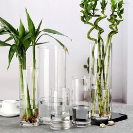 Vases Straight Tube Transparent Vase Simple Glass Home Decoration Flower Ornaments Crafts Water Culture