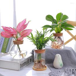 Vases Creative Hydroponic Plant Glass Vase Exquisite Transparent Nordic Soilless Flower Pot Balcony Decoration Home Decor