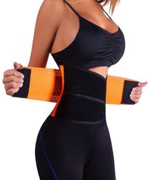 WholeElastic Nylon Neoprene Belt Ajustable Waist Support Brace Fitness Gym Lumbar Back Waist Supporter Protection6087069