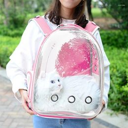 Cat Carriers Est Carrier Bag Outdoor Pet Shoulder Backpack Breathable Portable Travel Transparent For Small Dogs Cats