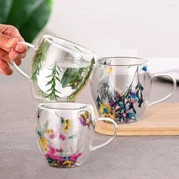 Wine Glasses Creative Double Wall Coffee Mug With Handles Real Dried Flower Filler Glass Cups Tea Cup Heat Resistant Gift 250ML