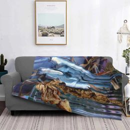 Blankets Chrome On Low Price Print Novelty Fashion Soft Warm Blanket Still Life Pograph Hood Ornament Dried Grass Nash