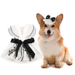 Dog Apparel Lovely Pet Dress Black Bowknot Colorfast Spring Summer Small Puppy Cat Clothes Two-legged Clothing Accessories