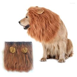 Dog Apparel Wigs Pet Cosplay Clothes Transfiguration Costume Lion Mane Winter Warm Wig For Large Party Dress Up Hat Supplies