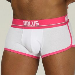 Underpants Men Underwear Boxers Cueca Tanga Ropa Interior Hombre Comfortable Breathable Boxer Cotton Shorts
