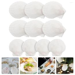 Disposable Dinnerware 10 Pcs Miniture Decoration Natural Shell Dish DIY Material Cooking Orange Dinner Plates Trinket Party