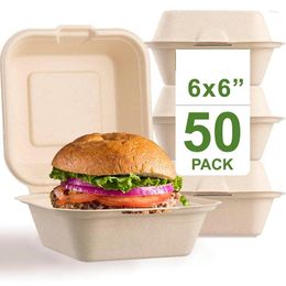 Take Out Containers OEM Custom Compostable Hamburgers Microwavable Healthy Disposable Food Boxes For Event Catering Party Get Togethers