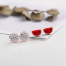 Stud Earrings Dragon Fruit And Watermelon Ceramic Fashion Gift Ear Studs Jewelry Wholesale For Women Girl #LY234