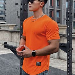 Summer American Muscle Fitness Brother Slim Fit Fashion Brand Short Sleeve Men S Flow Mesh Solid Colour T Shirt Training Round Neck Top olid hirt raining op