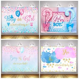 Party Decoration Gender Reveal Background Boy Or Girl Backdrop Blue Pink What Will Baby Be Banner Shower