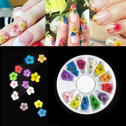 Window Stickers 36pcs/Wheel 3D Dried Flower Nail Art Decoration Blossom Daisy Floral Leaf Slider Polish Sticker Summer Manicure Tools