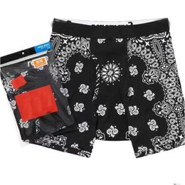 Men'S Swimwear 2 Pieces/Pack Fashion Unisex Underwear Briefs Men Cotton Hanes Boxer Brief Breathable Letter Underpants Shorts Ydz In Dh1Ap
