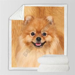 Blankets Pomeranian Cosy Premium Fleece Blanket 3D All Over Printed Sherpa On Bed Home Textiles