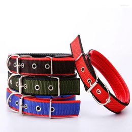 Dog Collars Mixed Color Pet Collar Out Leash Rope Soft Leather Lined Polypropylene Cute Supplies Big Sale