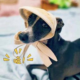 Dog Apparel INS Cat Pet Hat Small Summer Sunshade Grass Italian Greyhound Sunscreen Decoration Po