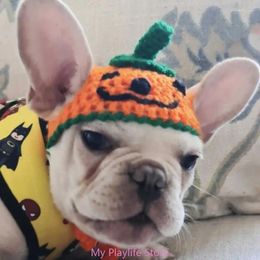 Dog Apparel Cat Halloween Pumpkin Hat Dogs Party Lovely Dress Up Costume Festival Knit Cap Po Headwear For Pet