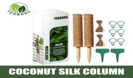 freight YEGBONG OEM ODM Coconut silk climbing pole suit plant support green pineapple pole coconut palm stick pile climbing f7782794