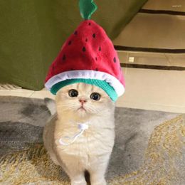 Dog Apparel Pet Hat Lightweight Stylish Watermelon Cat Fun Headgear For Party Pos Cosplay Cute Cartoon Shape Comfortable