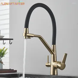 Kitchen Faucets Filtered Faucet Brushed Gold Brass Purifier Dual Sprayer Drinking Water Tap Vessel Sink Mixer