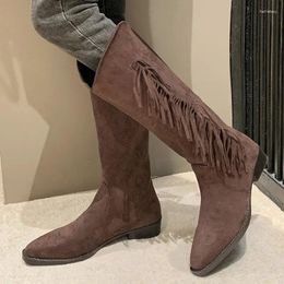 Boots Shoes For Women 2024 Knee-High Women's Fashion Fringe Modern Sexy Pointed Toe Square Heel Female
