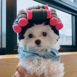 Dog Apparel Pet Headgear Curly Hair Perm Dress Up Costume Cosplay Funny Hat Puppy Cap Cat Headwear Accessories