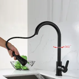 Kitchen Faucets Modern Pull Out Faucet Black Silver Stream Sprayer Sink Mixer Tap 360 Degree Rotation Taps