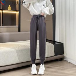 Women's Pants Lamb Plush Loose Harlan 2024 Autumn And Winter Slim High Waisted Thickened Casual Leggings Women