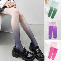 Women Socks Thin Pantyhose Tights Sexy Candy Colour Transparent Gradient Leggings Stockings Ladies