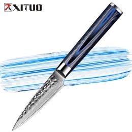 Damascus Paring Knife Fruit Knife 3.5 Inch Pro Kitchen Knife Japanese Damascus High Carbon Steel 67-Layer Fruit Carving Knife