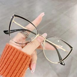 Sunglasses Frames Stainless Steel Anti Blue Light Eyeglass Frame Fashionable Cat Dual Colour Eye Decoration Can Be Matched Myopia Flat Lenses