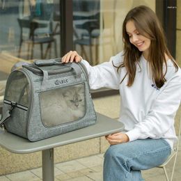 Cat Carriers Diagonal Large Side Window Transparent Mesh Travel One Shoulder Portable Folding Breathable Bag