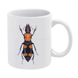 Mugs American Burying Beetle White Mug Vintage Unisex Size Insect Insects Bug Bugs Coleoptera Animal Animals Creat