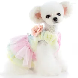 Dog Apparel Colorful Pet Dress Skirt Winter Princess Warm Overcoat Shih Tzu Poodle Yorkies Fashion Small Dogs Dresses