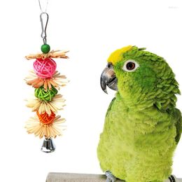 Other Bird Supplies Colourful Parrot Chew Strands Grind Teeth Toys Natural Straw
